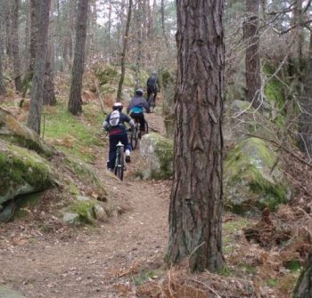 vttae evjf bourgogne